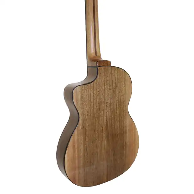 گیتار ساموئل ابلا مدل 4P CE