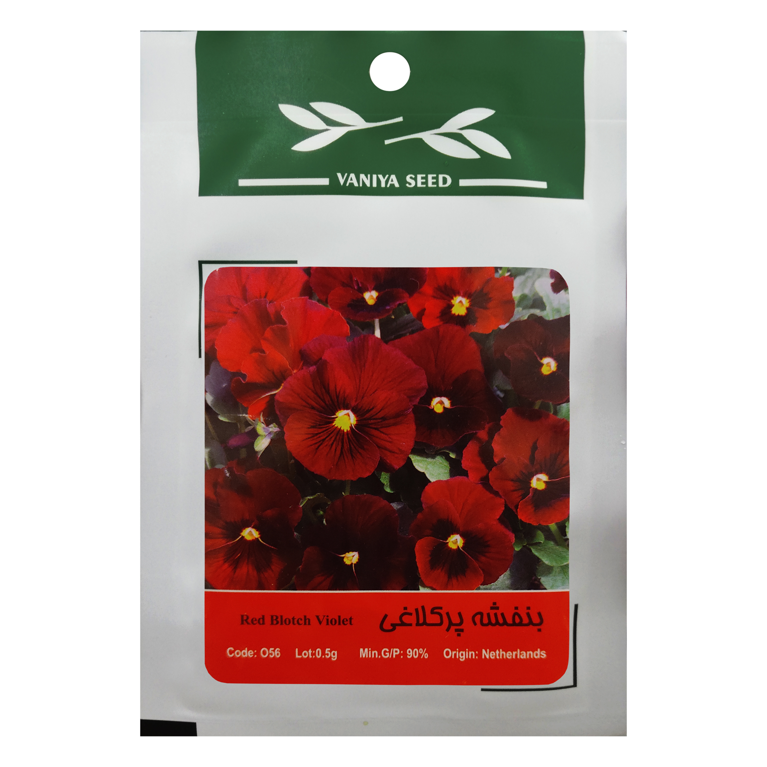 بذر گل بنفشه پرکلاغی وانیا سید مدل O56