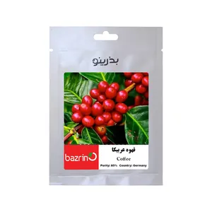 بذر قهوه عربیکا بذرینو کد BZNO-122