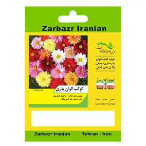 بذر گل کوکب الوان بذری زربذر ایرانیان کد ZBP-98
