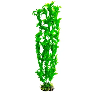 گیاه تزیینی آکواریوم کد 22