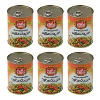 کنسرو سبزیجات مخلوط مائده - 380 گرم مجموعه 6 عددی