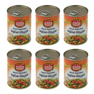 کنسرو سبزیجات مخلوط مائده - 380 گرم مجموعه 6 عددی
