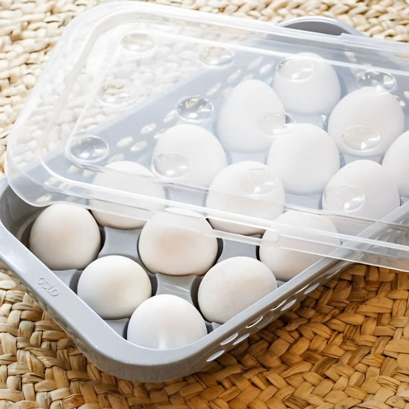 ظرف نگهدارنده تخم مرغ مدل 15 عددی