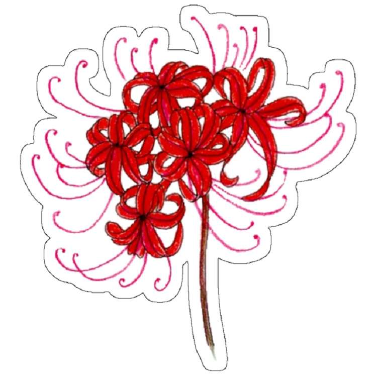 استیکر مدل Red Spider Lily