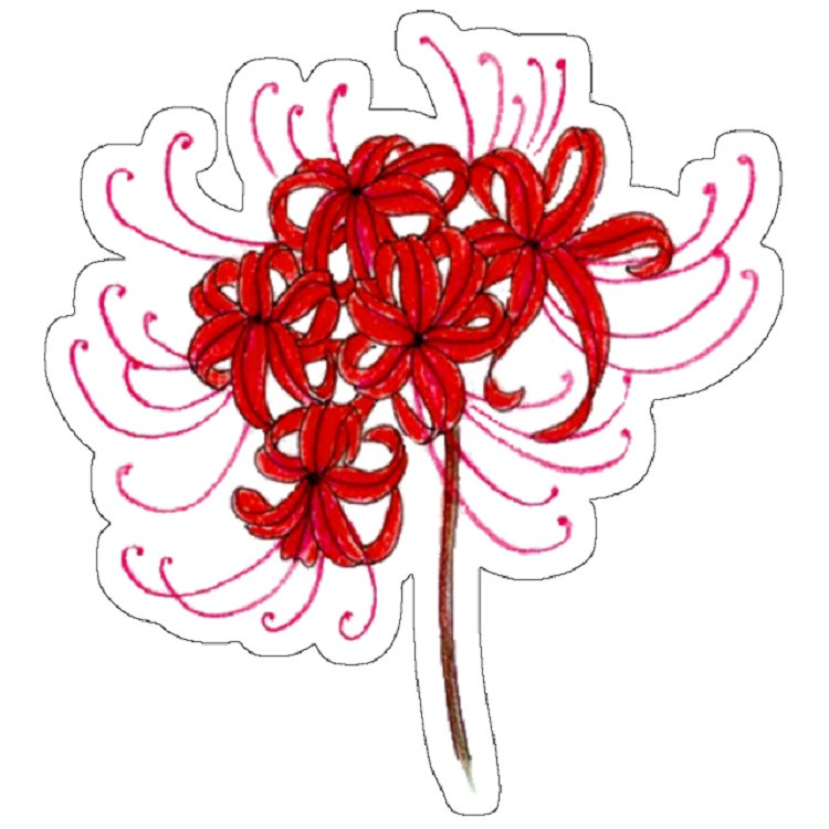 استیکر مدل Red Spider Lily