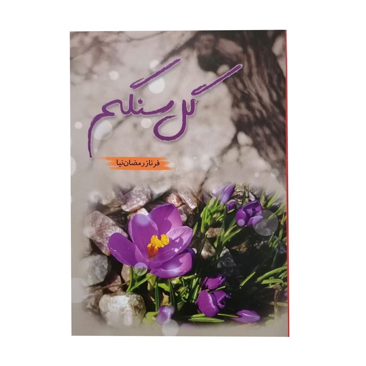 کتاب گل سنگم اثر فرناز رمضان نیا انتشارات شقایق