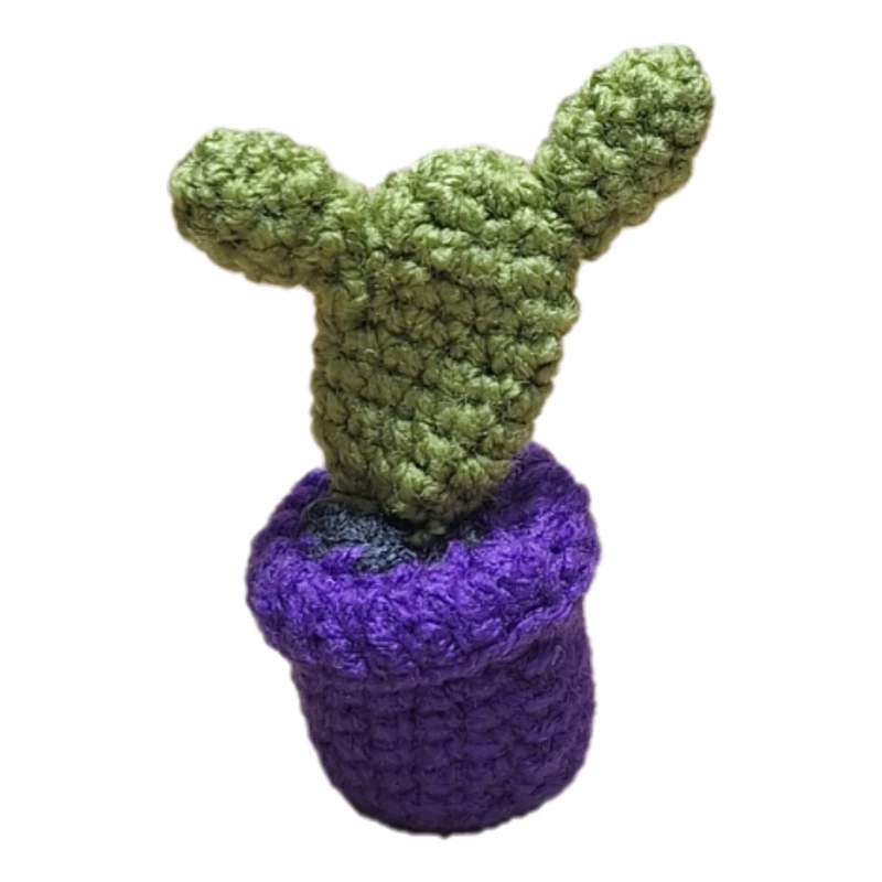 گلدان بافتنی مدل کاکتوس ۲