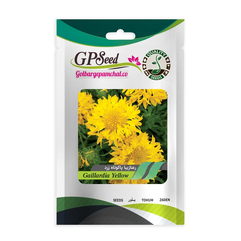 بذر گل رعنا زیبا پاکوتاه زرد گلبرگ پامچال کد GPF-246