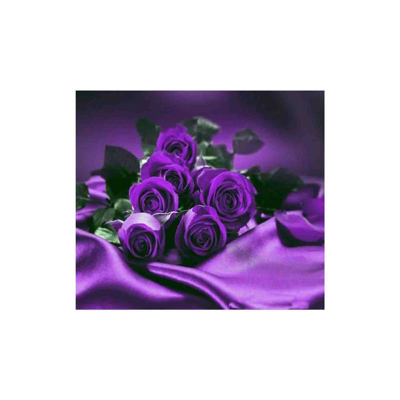 کارت پستال رادکس طرح گل مدل s805