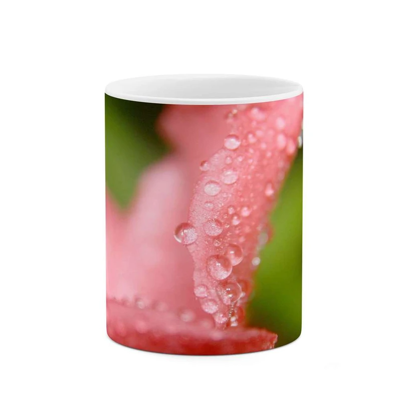 ماگ کاکتی مدل شبنم کد mgh12066