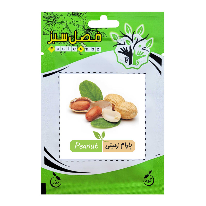 بذر بادام زمینی فصل سبز کد SEED-026
