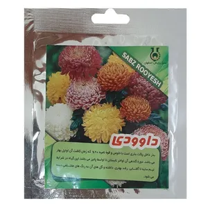 بذر گل داوودی سبزرویش اصفهان مدل G101