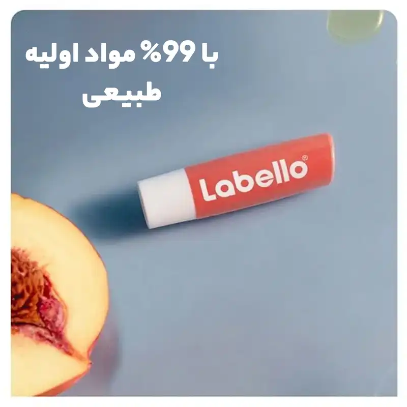 بالم لب لابلو مدل dsrsd کد 45 مجموعه دو عددی