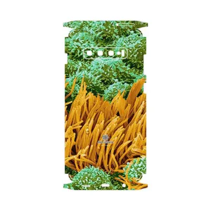 MAHOOT Atom Universe 6-FullSkin Cover Sticker for Samsung Galaxy S10 Plus