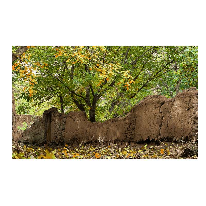 نخ و نقشه تابلوفرش طرح منظره 2396 نخ و نقشه تابلوفرش طرح منظره 2396