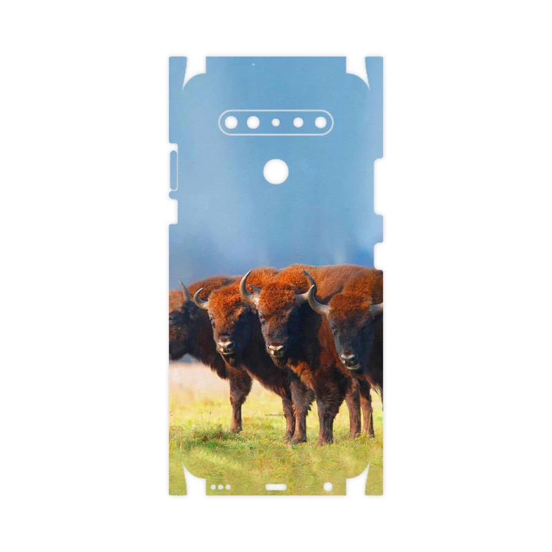 برچسب پوششی ماهوت مدل Buffalo-FullSkin مناسب برای گوشی موبایل ال جی K41s