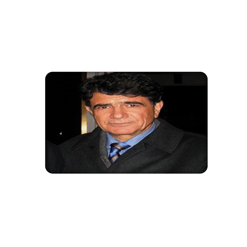 استیکر کارت مدل شجریان کد 1204