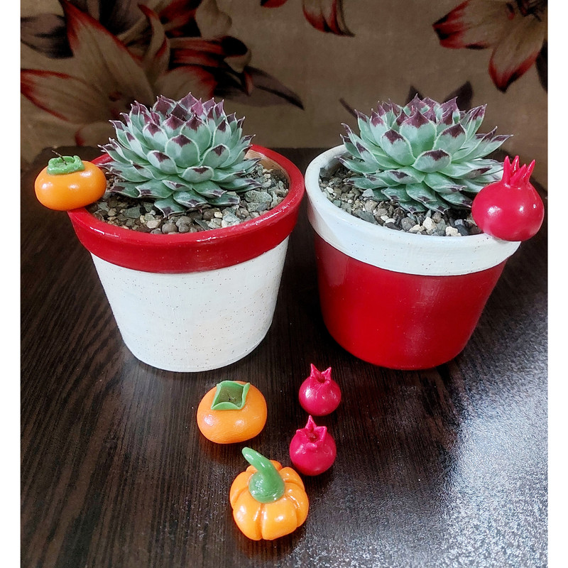 گیاه طبیعی سمپریوم لب ماتیکی مدل یلدا مجموعه 2 عددی گیاه طبیعی سمپریوم لب ماتیکی مدل یلدا مجموعه 2 عددی