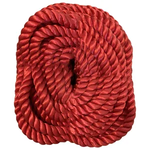 طناب بسته بندی مدل T24mm طول 10 متر
