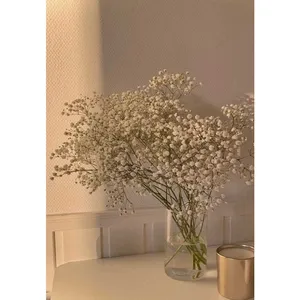 کارت پستال دریان طرح گل مدل 0082