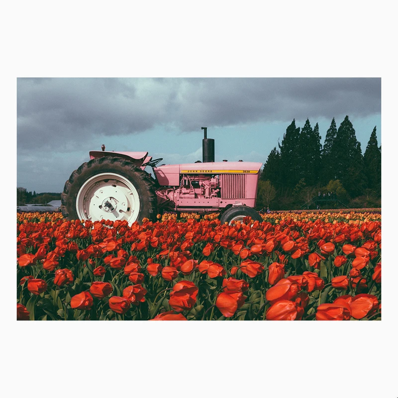 کاغذ دیواری طرح تراکتور مدل دشت لاله کد AR304090