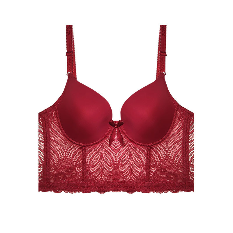 سوتین زنانه مدل دونا طرح گیپور کد 73023S