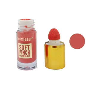 رژگونه مایع ترکیبی مینی استار مدل soft pinch شماره 5