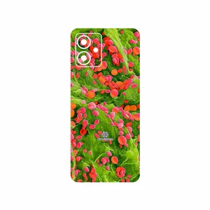 MAHOOT Atom Universe 3 Cover Sticker for Motorola Moto G14
