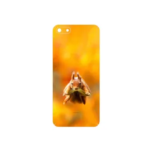 MAHOOT Squirrel Cover Sticker for Honor 7S
