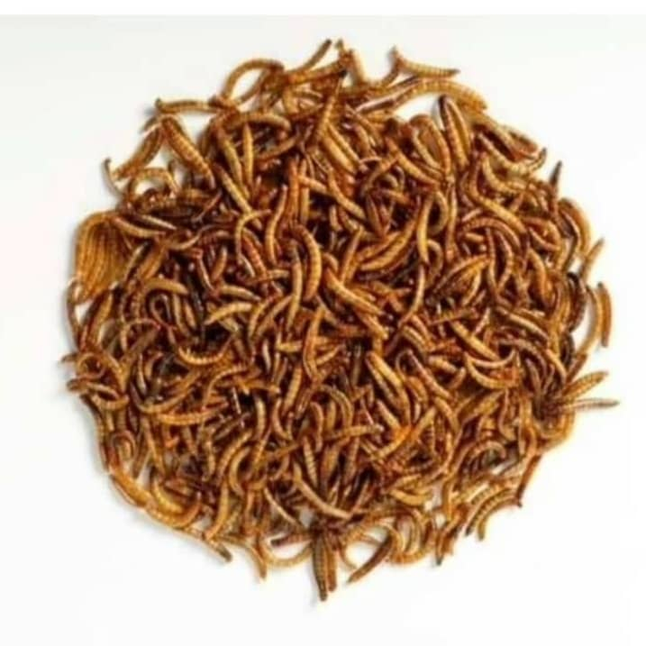 غذای خشک حیوانات مدل میلورم کد 11 وزن 500 گرم