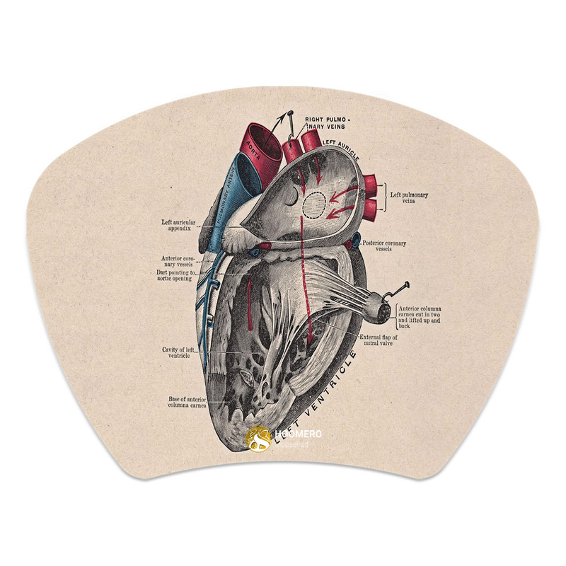 ماوس پد هومرو مدل MC157 طرح پزشکی آناتومی قلب