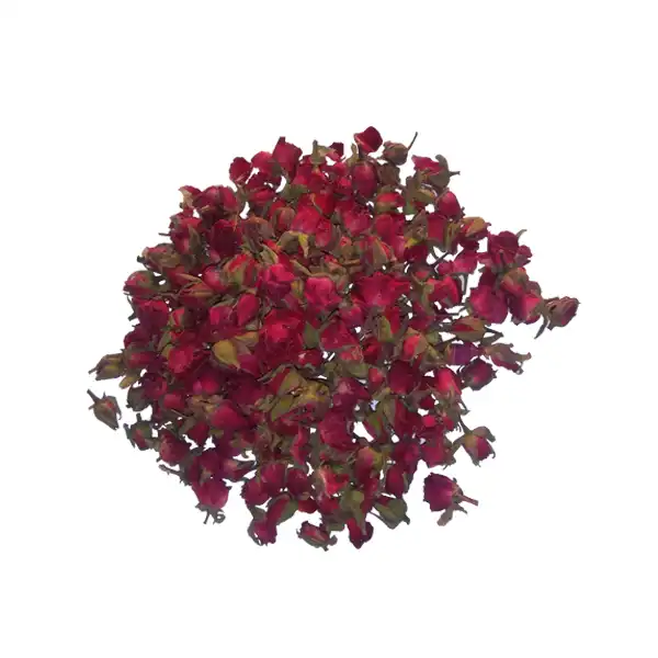 غنچه گل رز خشک مدل sanaz