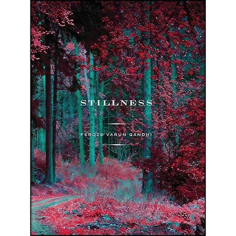 کتاب Stillness اثر Feroze Varun Gandhi انتشارات Harper Element