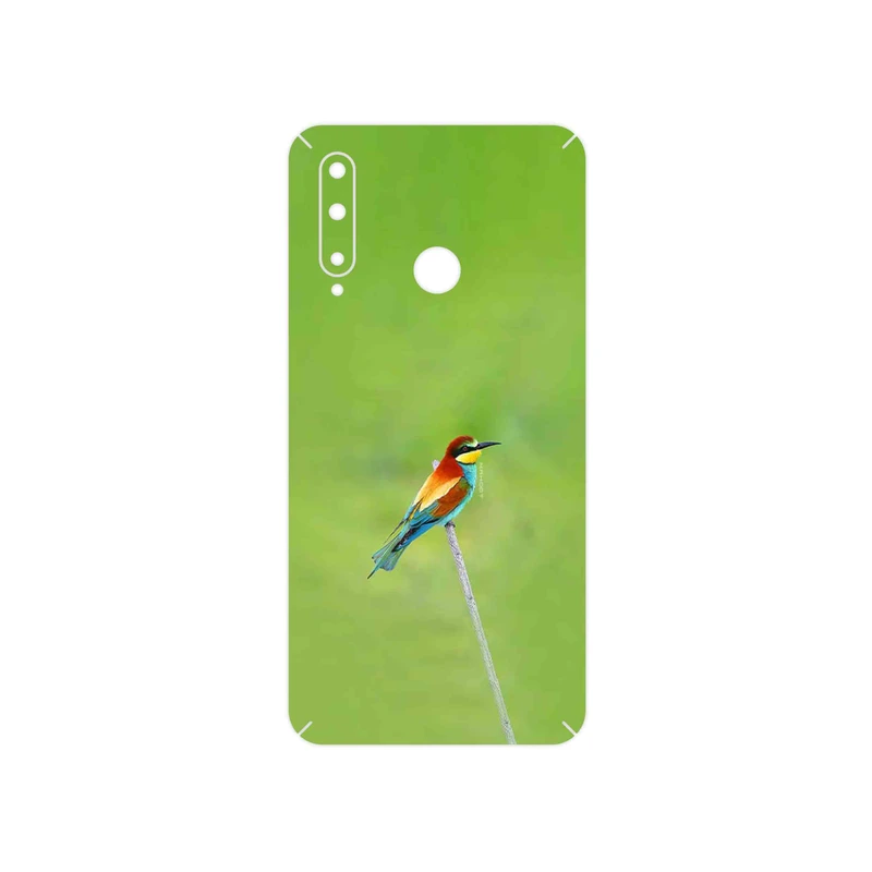 برچسب پوششی ماهوت مدل European bee-eater مناسب برای گوشی موبایل آنر 20 Lite