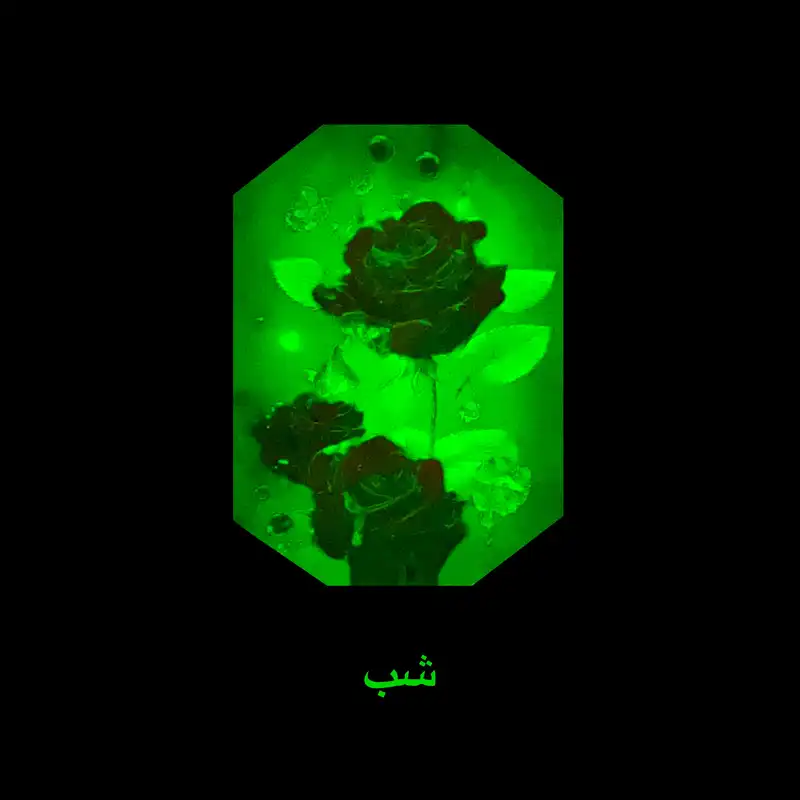 جاکلیدی مدل شب تاب D21