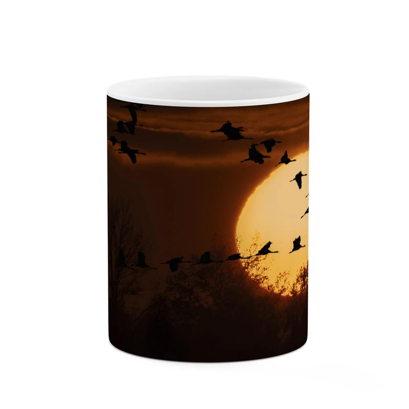 ماگ کاکتی طرح کوچ پرندگان کد mgp12091