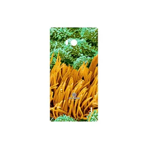 MAHOOT Atom Universe 6 Cover Sticker for Nokia Lumia 930