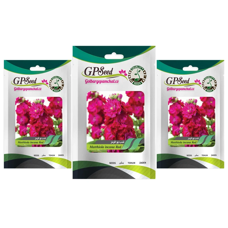 بذر گل شب بو قرمز گلدانی گلبرگ پامچال کد GPF-259 مجموعه 3 عددی