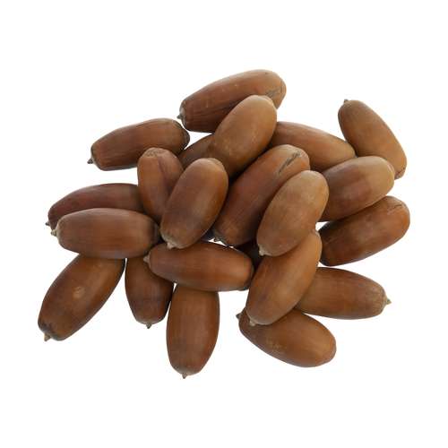 غذای خرگوش مدل BLT وزن 200 گرم