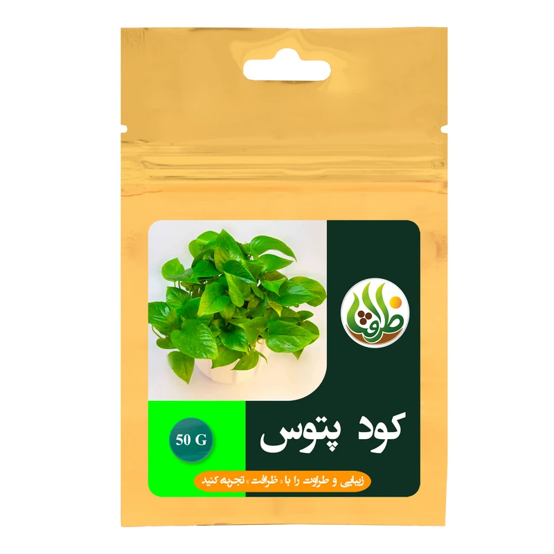  کود پوتوس ظرافت مدل KO20962 وزن 50 گرم