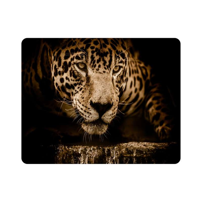 ماوس پد اطلس آبی طرح یوز پلنگ  مدل T7671