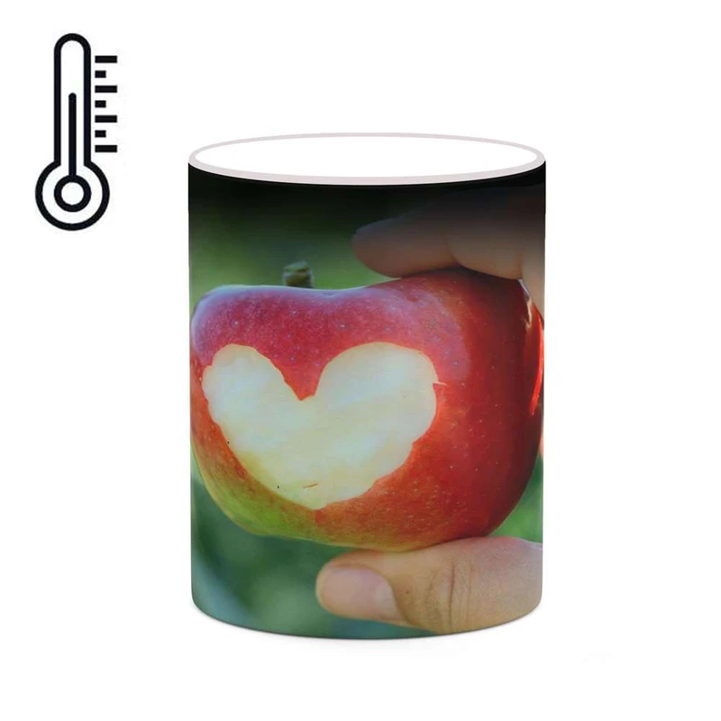 ماگ حرارتی کاکتی مدل Love کد mgh20653