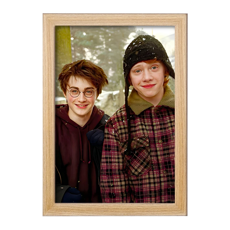 تابلو خندالو مدل هری پاتر (Harry Potter) کد F6004