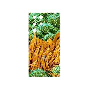 MAHOOT Atom Universe 6 Cover Sticker for Samsung Galaxy S22 Ultra 5G