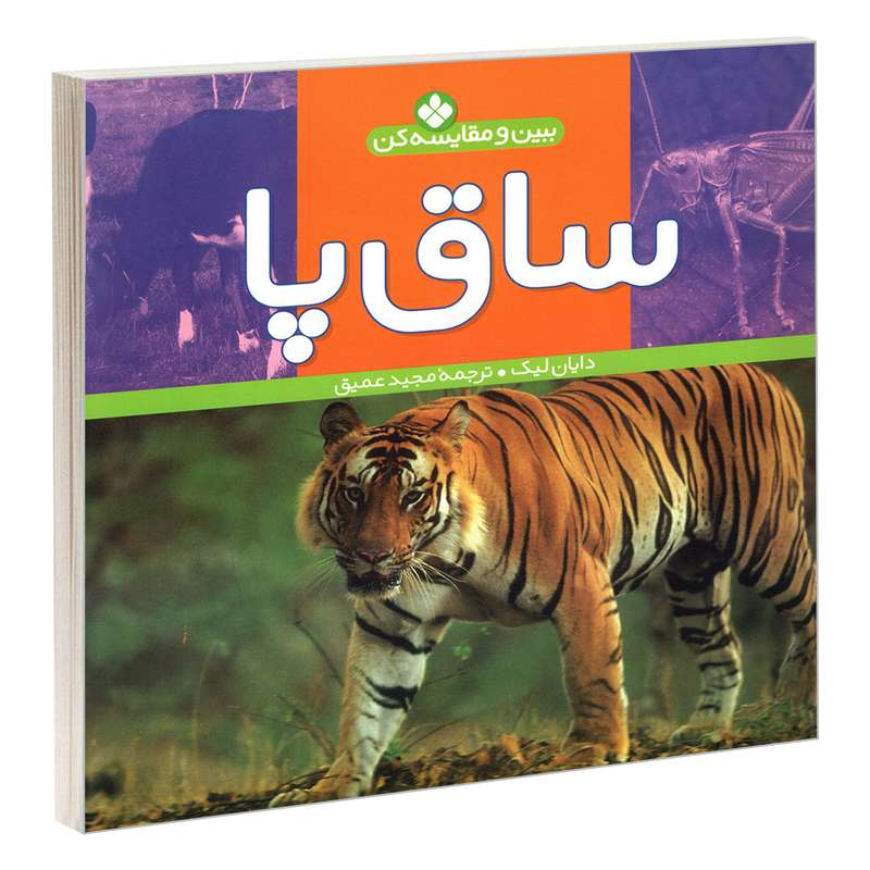کتاب ببین و مقایسه کن؛ ساق پا اثر دایان لیک انتشارات پنجره