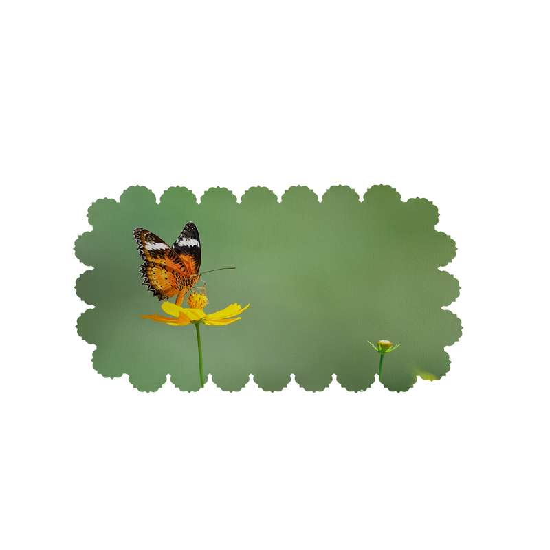  رومیزی طرح پروانه کد 6213R