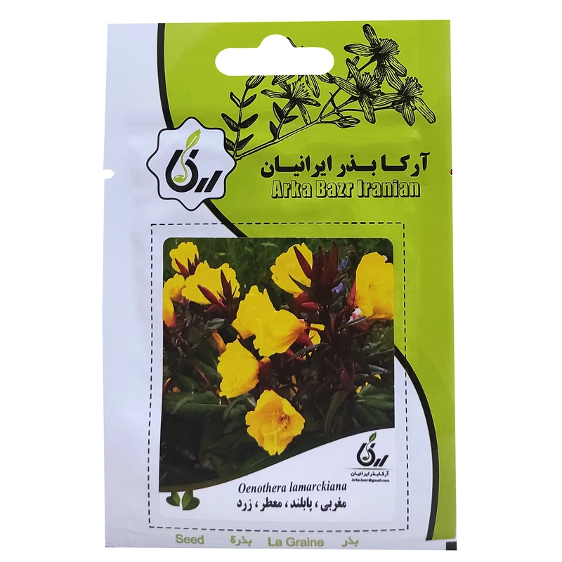 بذر گل مغربی پابلند معطر زرد آرکا بذر ایرانیان کد ARK-096