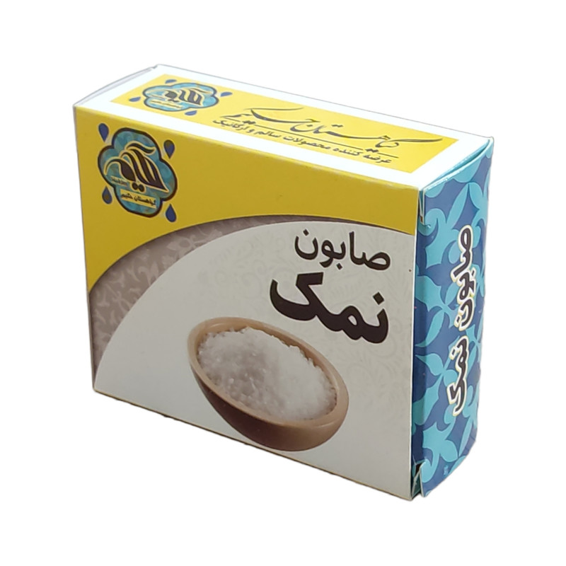 صابون شستشو  گیاهستان حکیم مدل نمک وزن 70 گرم