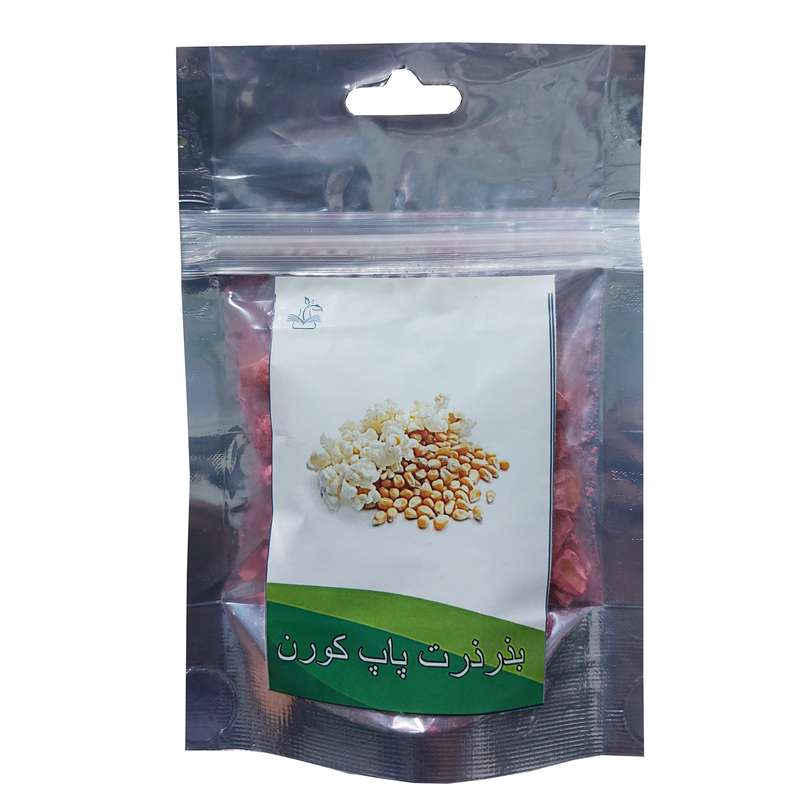 بذر ذرت پاپ کورن کد B32 بذر ذرت پاپ کورن کد B32